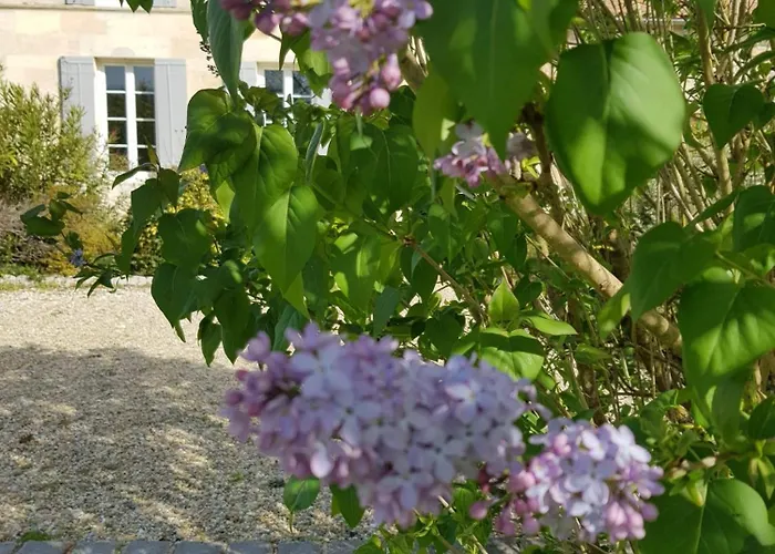 La Bastide De Margaux Casa de hóspedes