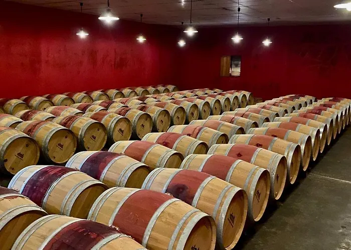 Casa de hóspedes La Bastide De Margaux Soussans